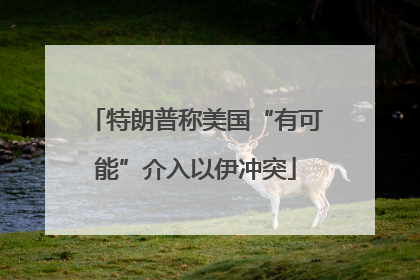 特朗普称美国“有可能”介入以伊冲突