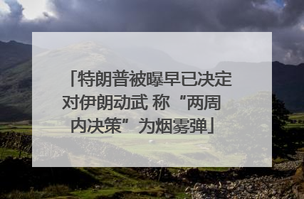 特朗普被曝早已决定对伊朗动武 称“两周内决策”为烟雾弹
