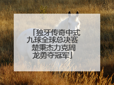 独牙传奇中式九球全球总决赛 楚秉杰力克周龙勇夺冠军