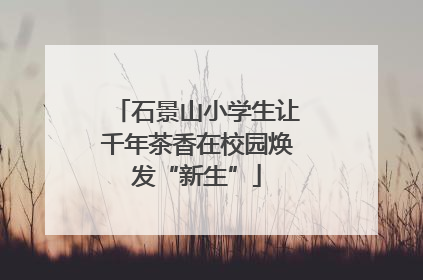 石景山小学生让千年茶香在校园焕发“新生”