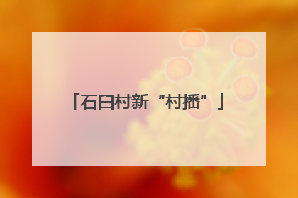 石臼村新“村播”