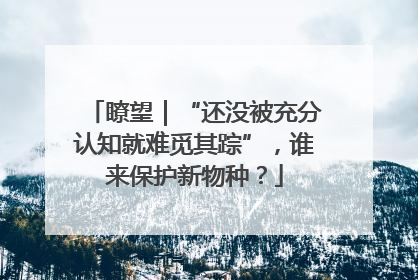 瞭望｜“还没被充分认知就难觅其踪”，谁来保护新物种？
