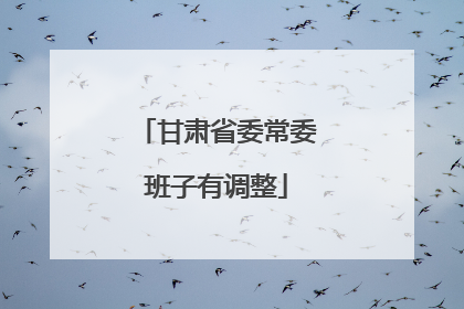 甘肃省委常委班子有调整