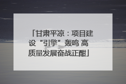 甘肃平凉：项目建设“引擎”轰鸣 高质量发展奋战正酣