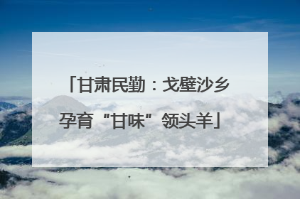 甘肃民勤：戈壁沙乡孕育“甘味”领头羊