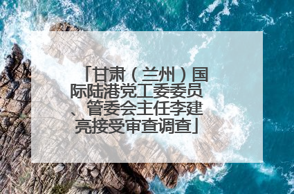 甘肃（兰州）国际陆港党工委委员、管委会主任李建亮接受审查调查