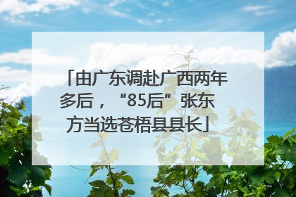 由广东调赴广西两年多后，“85后”张东方当选苍梧县县长