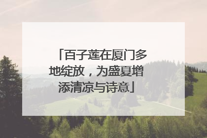 百子莲在厦门多地绽放，为盛夏增添清凉与诗意
