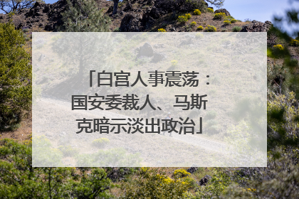 白宫人事震荡：国安委裁人、马斯克暗示淡出政治