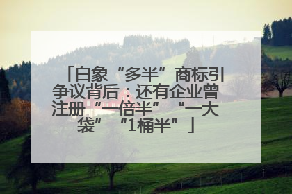 白象“多半”商标引争议背后：还有企业曾注册“一倍半”“一大袋”“1桶半”