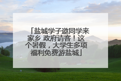 盐城学子邀同学来家乡 政府请客！这个暑假，大学生多项福利免费游盐城