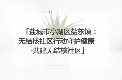 盐城市亭湖区盐东镇：无结核社区行动守护健康 ·共建无结核社区