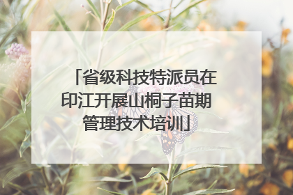 省级科技特派员在印江开展山桐子苗期管理技术培训