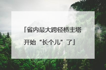 省内最大跨径桥主塔开始“长个儿”了