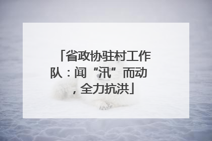 省政协驻村工作队：闻“汛”而动，全力抗洪