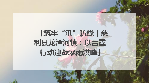 筑牢“汛”防线｜慈利县龙潭河镇：以雷霆行动迎战暴雨洪峰