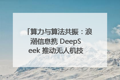 算力与算法共振：浪潮信息携 DeepSeek 推动无人机技术在舟山落地