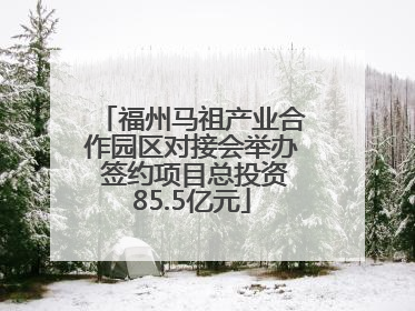 福州马祖产业合作园区对接会举办 签约项目总投资85.5亿元
