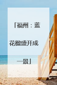 福州：蓝花楹盛开成一景