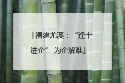 福建尤溪：“逢十进企” 为企解难