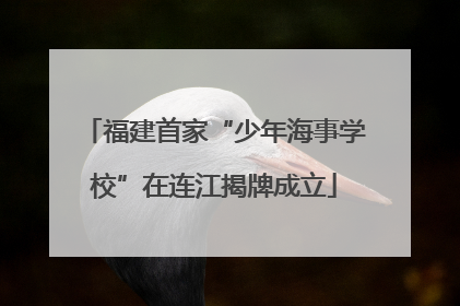 福建首家“少年海事学校”在连江揭牌成立