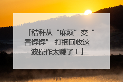 秸秆从“麻烦”变“香饽饽” 打捆回收这波操作太赚了！
