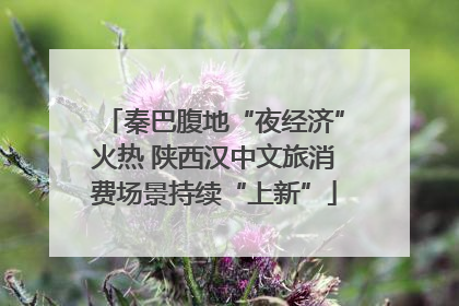 秦巴腹地“夜经济”火热 陕西汉中文旅消费场景持续“上新”