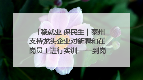 稳就业 保民生｜泰州支持龙头企业对新聘和在岗员工进行实训——到岗就能用 用了就见效
