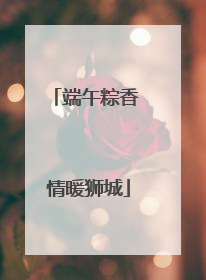 端午粽香 情暖狮城