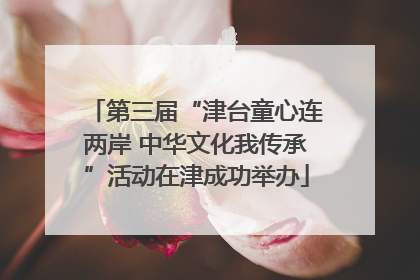 第三届“津台童心连两岸 中华文化我传承”活动在津成功举办