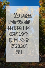 第九届丝博会陕西榆林市横山区签约19个项目 总投资203亿元
