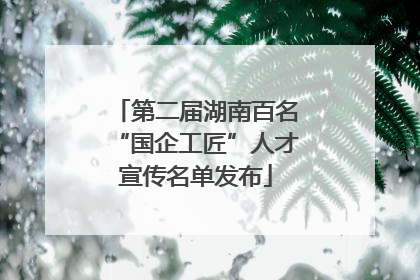 第二届湖南百名“国企工匠”人才宣传名单发布