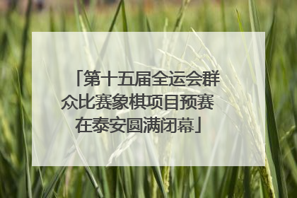 第十五届全运会群众比赛象棋项目预赛在泰安圆满闭幕