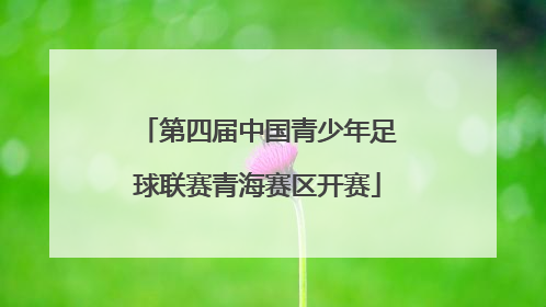 第四届中国青少年足球联赛青海赛区开赛