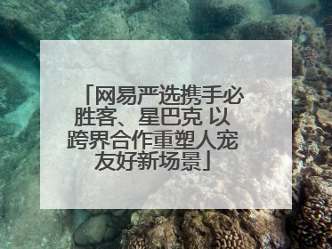 网易严选携手必胜客、星巴克 以跨界合作重塑人宠友好新场景
