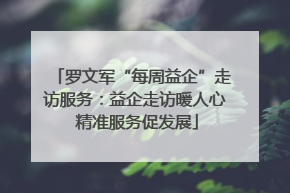 罗文军“每周益企”走访服务：益企走访暖人心 精准服务促发展