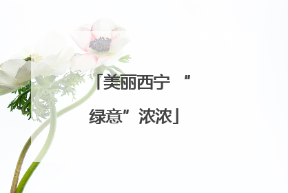 美丽西宁 “绿意”浓浓