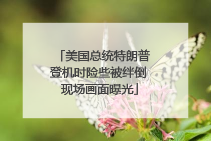 美国总统特朗普登机时险些被绊倒 现场画面曝光