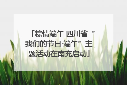 粽情端午 四川省“我们的节日·端午”主题活动在南充启动