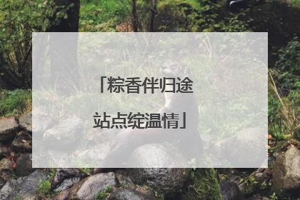 粽香伴归途 站点绽温情