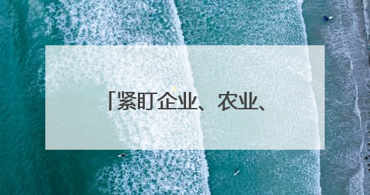 紧盯企业、农业、民生，为经济社会高质量发展保驾护航