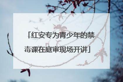 红安专为青少年的禁毒课在庭审现场开讲