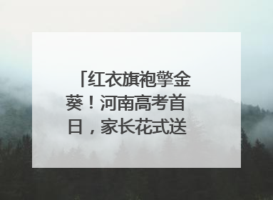 红衣旗袍擎金葵！河南高考首日，家长花式送考藏满爱与盼