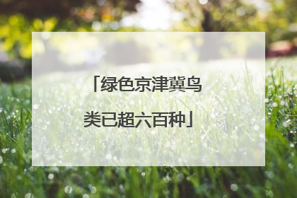绿色京津冀鸟类已超六百种