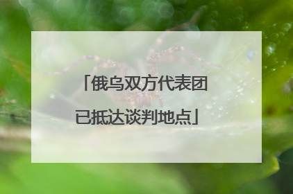 俄乌双方代表团已抵达谈判地点
