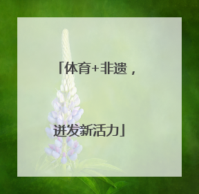 体育+非遗，迸发新活力