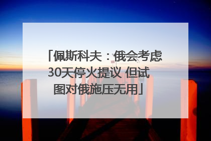 佩斯科夫：俄会考虑30天停火提议 但试图对俄施压无用