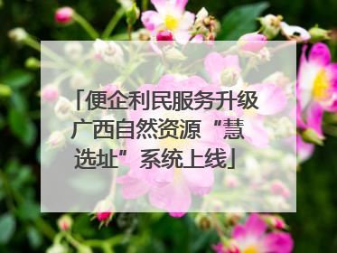 便企利民服务升级 广西自然资源“慧选址”系统上线
