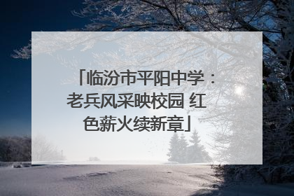 临汾市平阳中学：老兵风采映校园 红色薪火续新章
