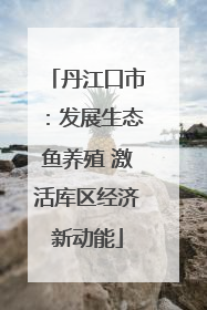 丹江口市：发展生态鱼养殖 激活库区经济新动能